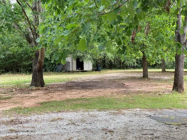 a view of a yard with a tree
