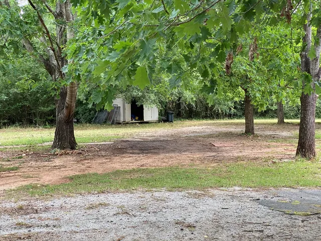 a view of a yard with a tree