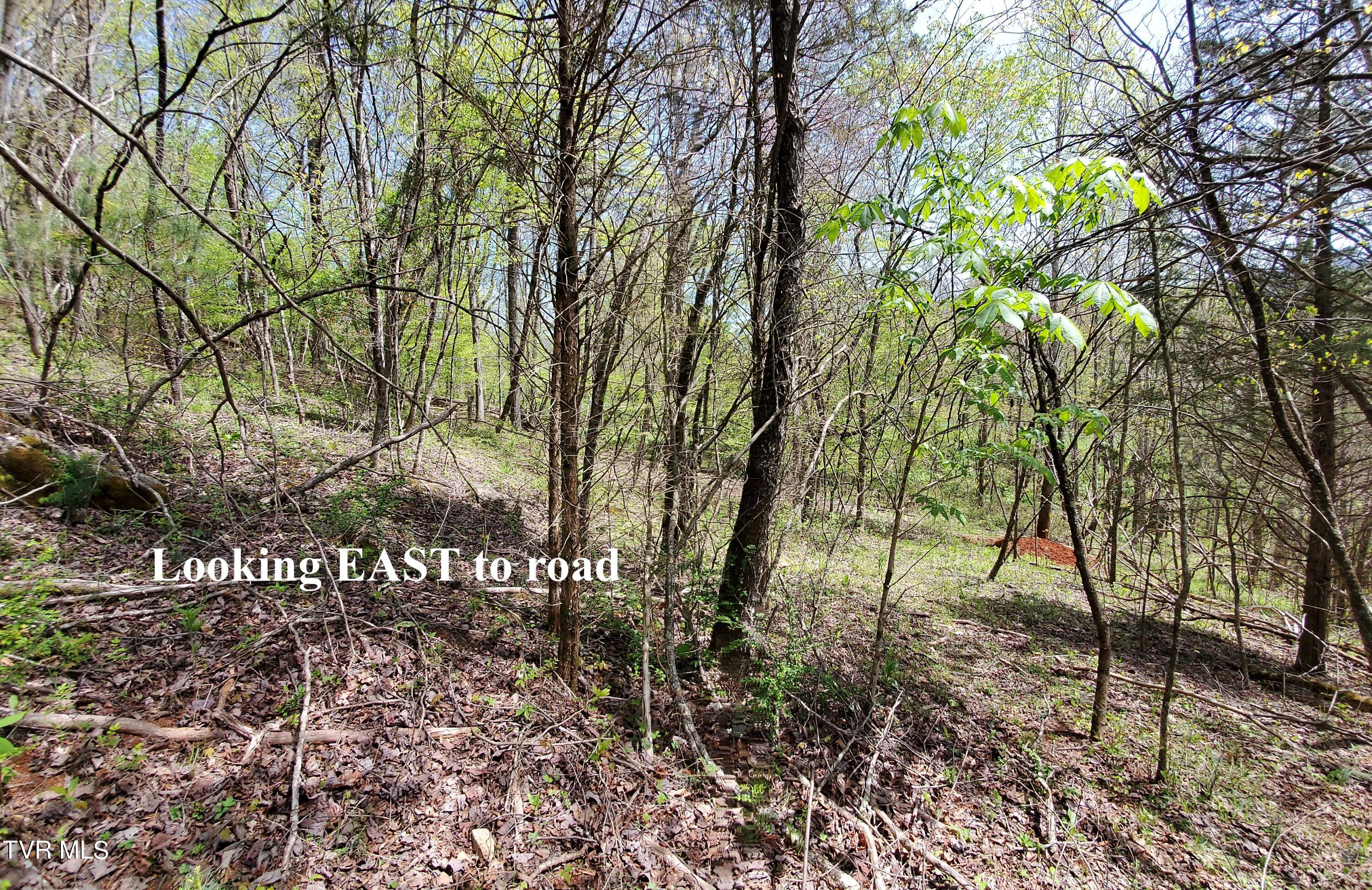 Lot 40 Cowan Town Road, Unit 40 Butler, TN 37640 - Photo 48 of 117 8