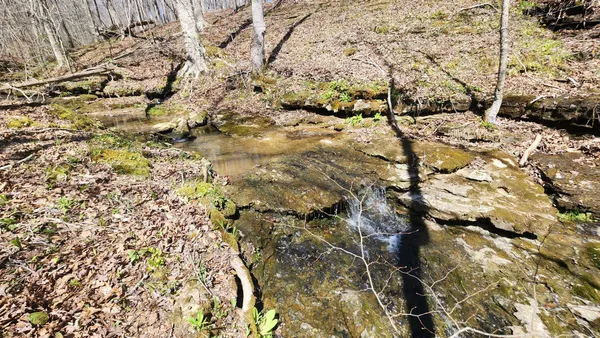 $600,000 | 0 Allen Bend Road, Smithville, TN 37166