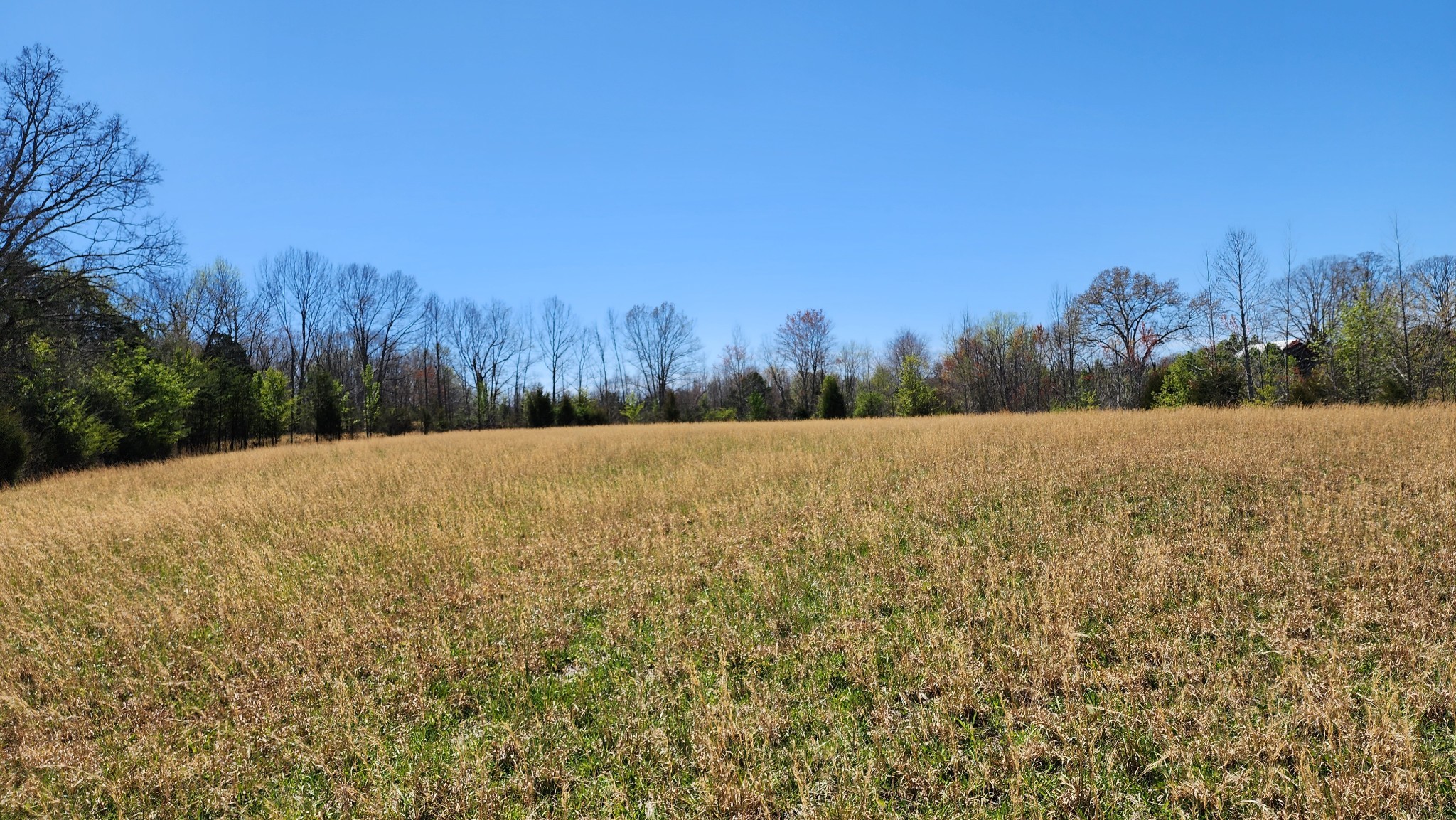 0 Allen Bend Road Smithville, TN 37166 - Photo 11 of 21 a view of a field with trees in the background
