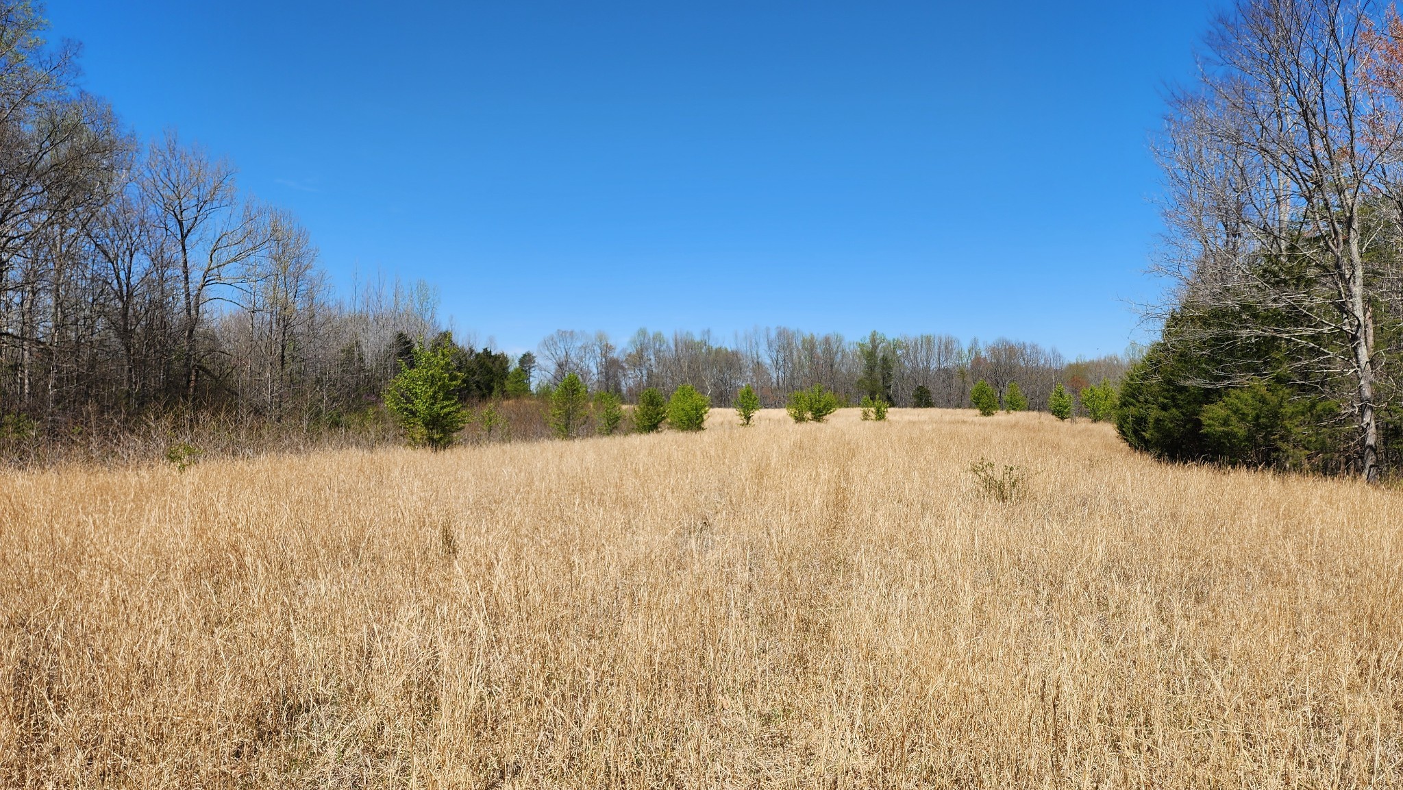 0 Allen Bend Road Smithville, TN 37166 - Photo 12 of 21 a view of a outdoor space