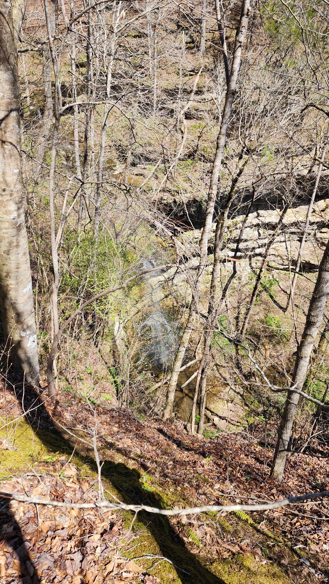 0 Allen Bend Road Smithville, TN 37166 - Photo 16 of 21 a view of a yard with wooden fence