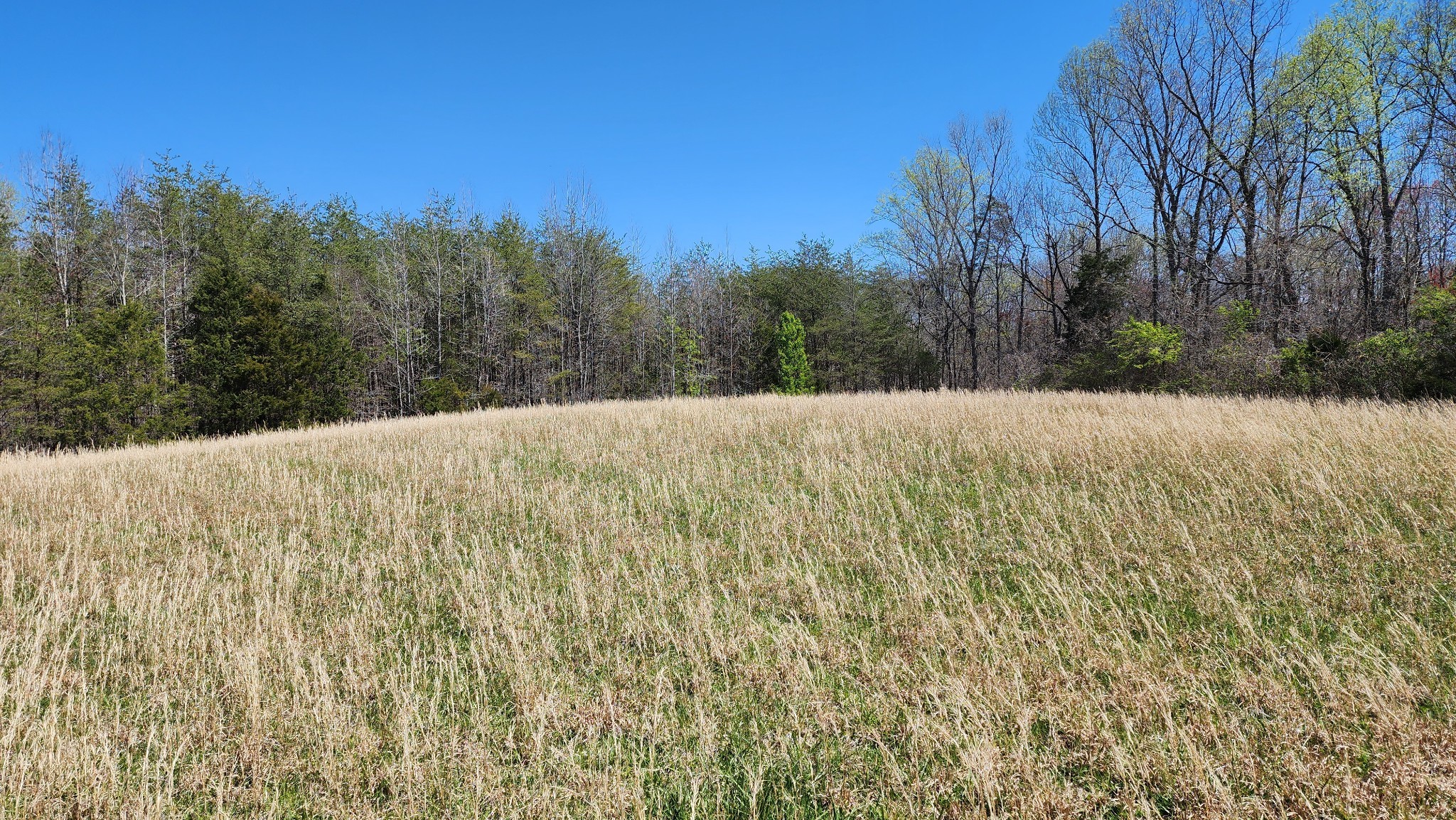 0 Allen Bend Road Smithville, TN 37166 - Photo 18 of 21 a view of an outdoor space and a yard