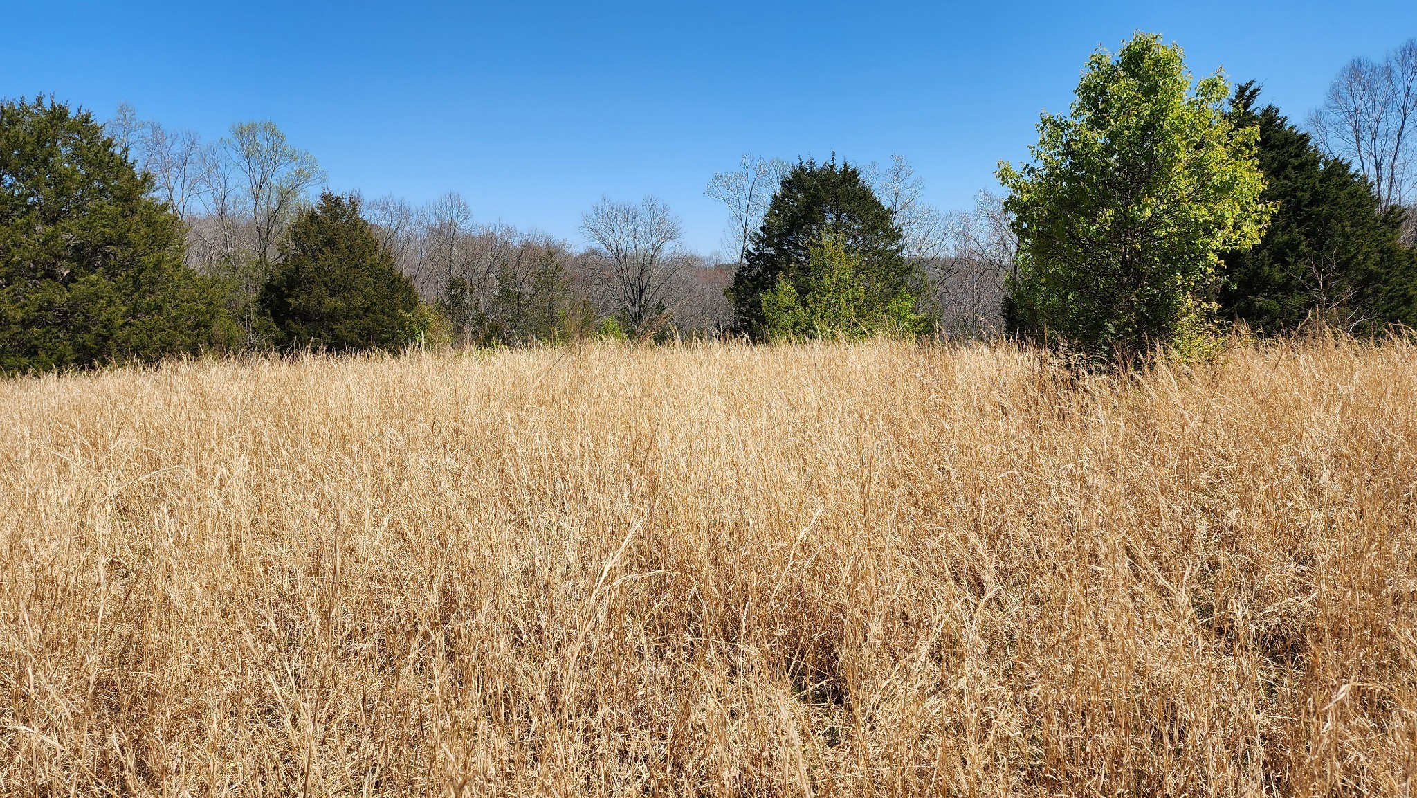 0 Allen Bend Road Smithville, TN 37166 - Photo 19 of 21 a view of a lake view