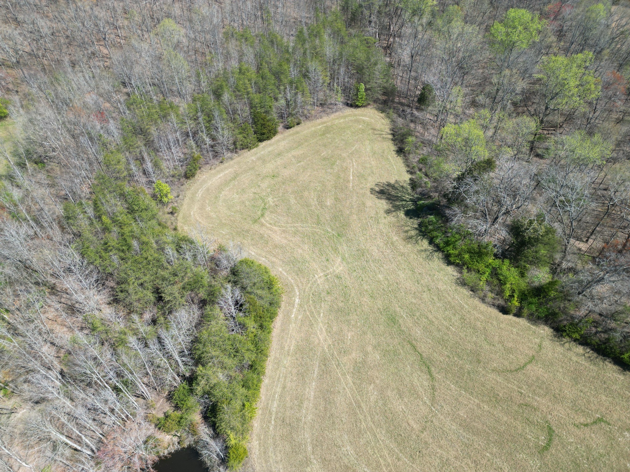 0 Allen Bend Road Smithville, TN 37166 - Photo 6 of 21 a view of a yard with trees