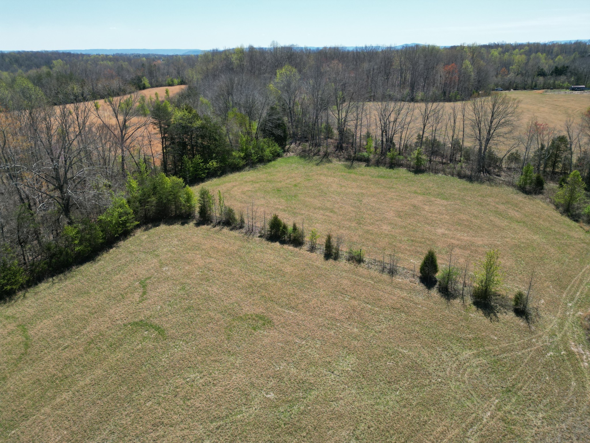 0 Allen Bend Road Smithville, TN 37166 - Photo 10 of 21 a view of a backyard