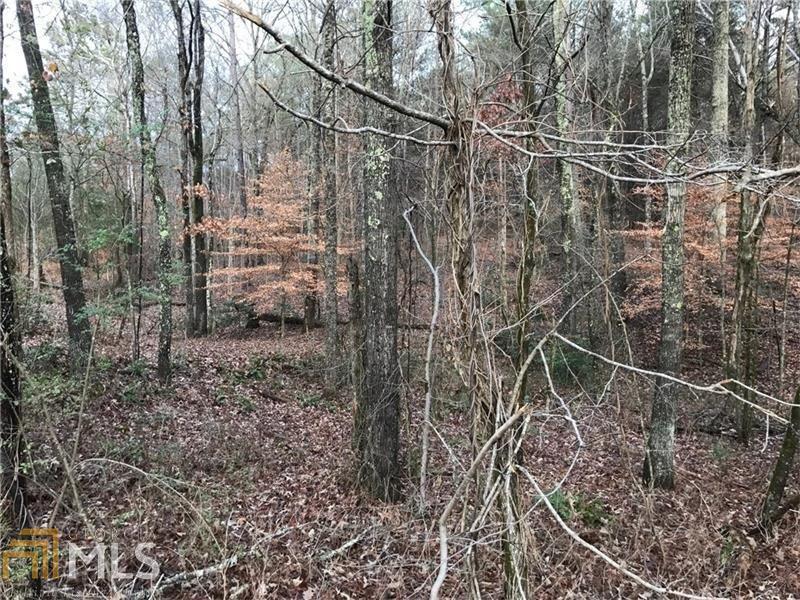 0 Upper Bethany Road, Unit 1 Ball Ground, GA 30107 - Photo 1 of 1 Gallery Image 1
