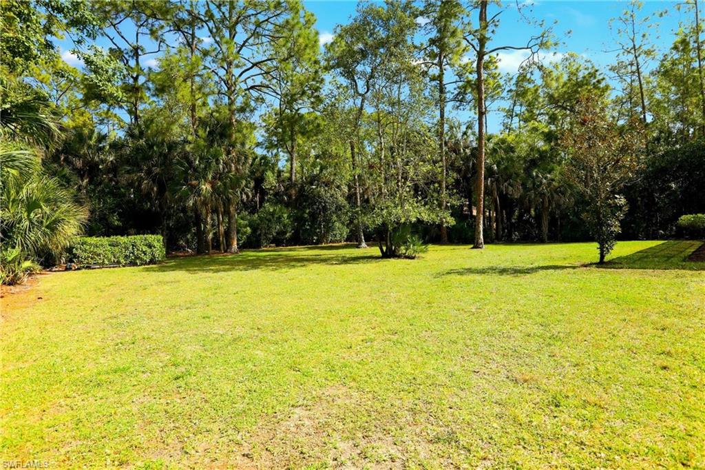 4335 7th Avenue Southwest Naples, FL 34119 - Photo 42 of 49 View of green lawn with view of wooded area