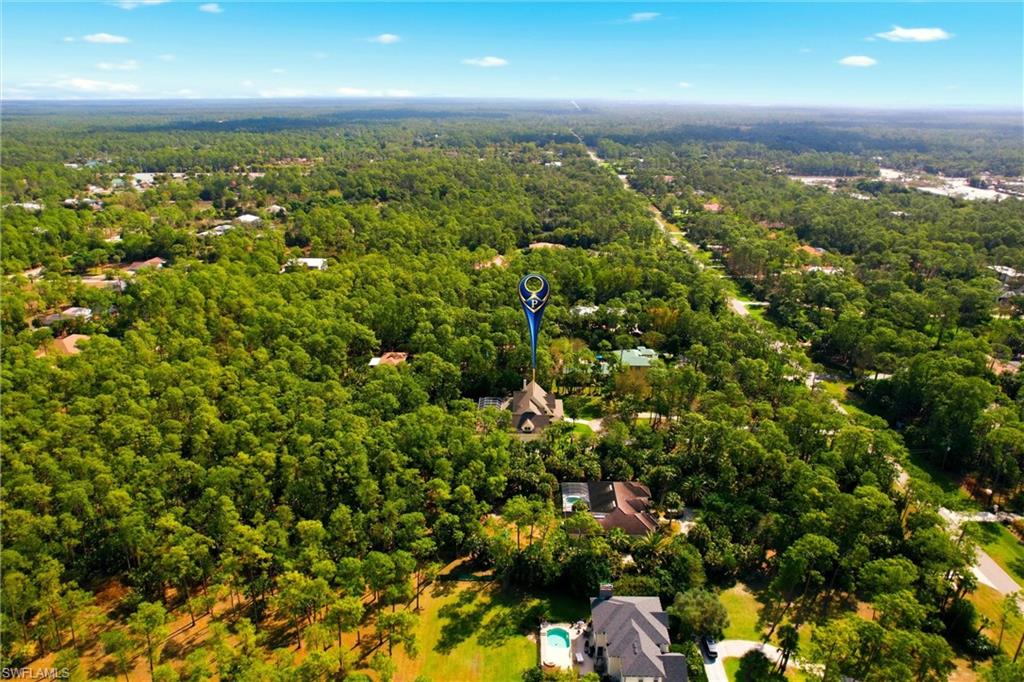 4335 7th Avenue Southwest Naples, FL 34119 - Photo 47 of 49 Bird's eye view of a forest