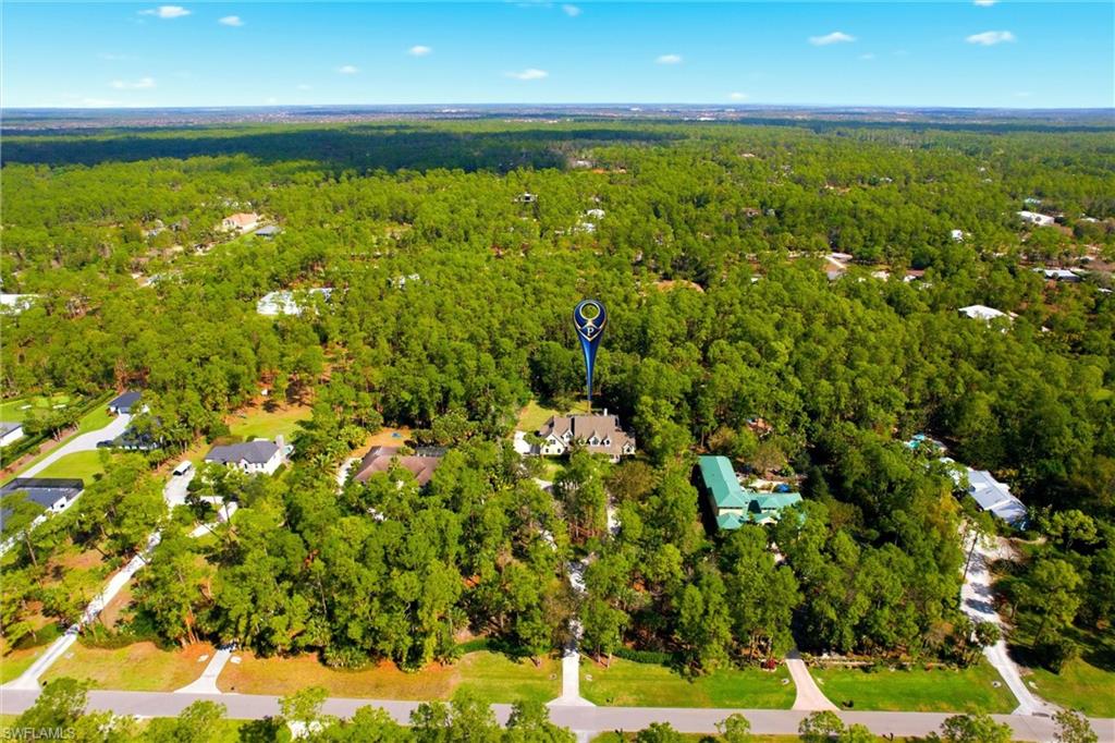 4335 7th Avenue Southwest Naples, FL 34119 - Photo 48 of 49 Aerial view of a forest