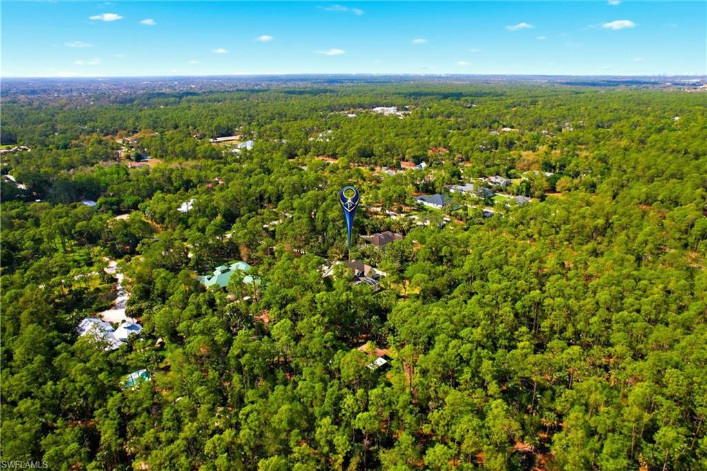 4335 7th Avenue Southwest Naples, FL 34119 - Photo 49 of 49 Drone / aerial view of a forest