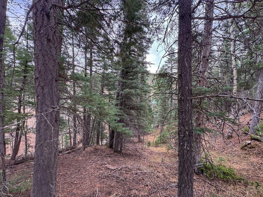 132 Aspen Acres Road Westcliffe, CO 81252 - Photo 12 of 14