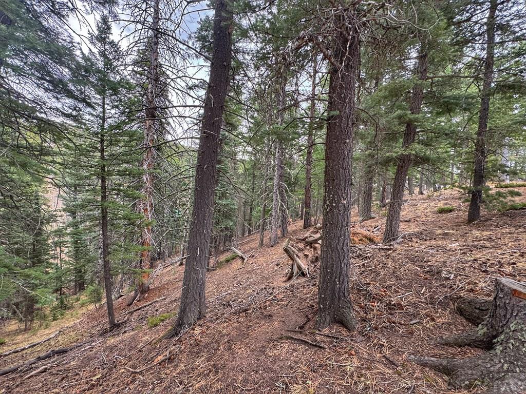 132 Aspen Acres Road Westcliffe, CO 81252 - Photo 13 of 14