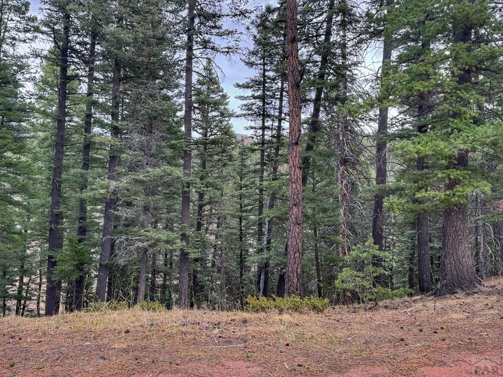 132 Aspen Acres Road Westcliffe, CO 81252 - Photo 3 of 14