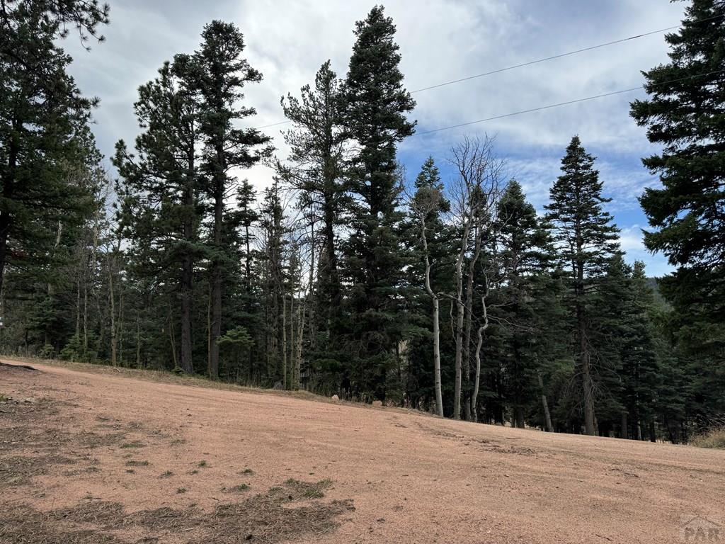 132 Aspen Acres Road Westcliffe, CO 81252 - Photo 4 of 14