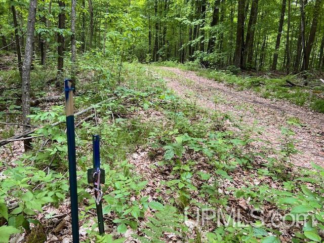 20.99-acres Old J Road Athelstane, WI 54104 - Photo 3 of 10