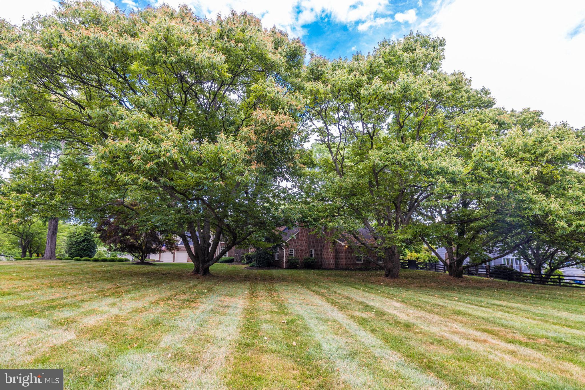 937 Bellview Road McLean, VA 22102 - Photo 59 of 72