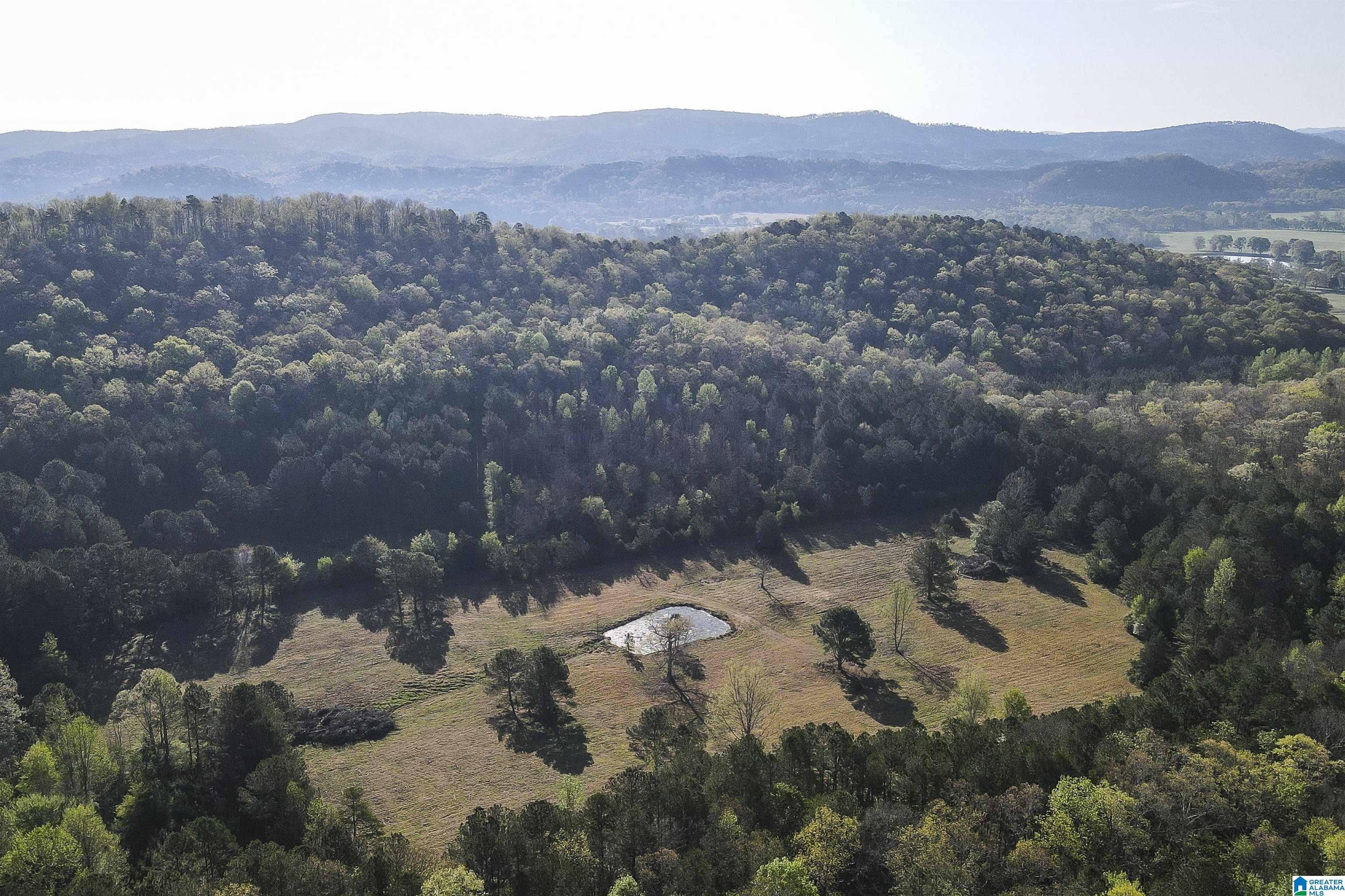 0 Stone Ridge Trail South, Unit 49 95 AC Anniston, AL 36207 - Photo 19 of 22
