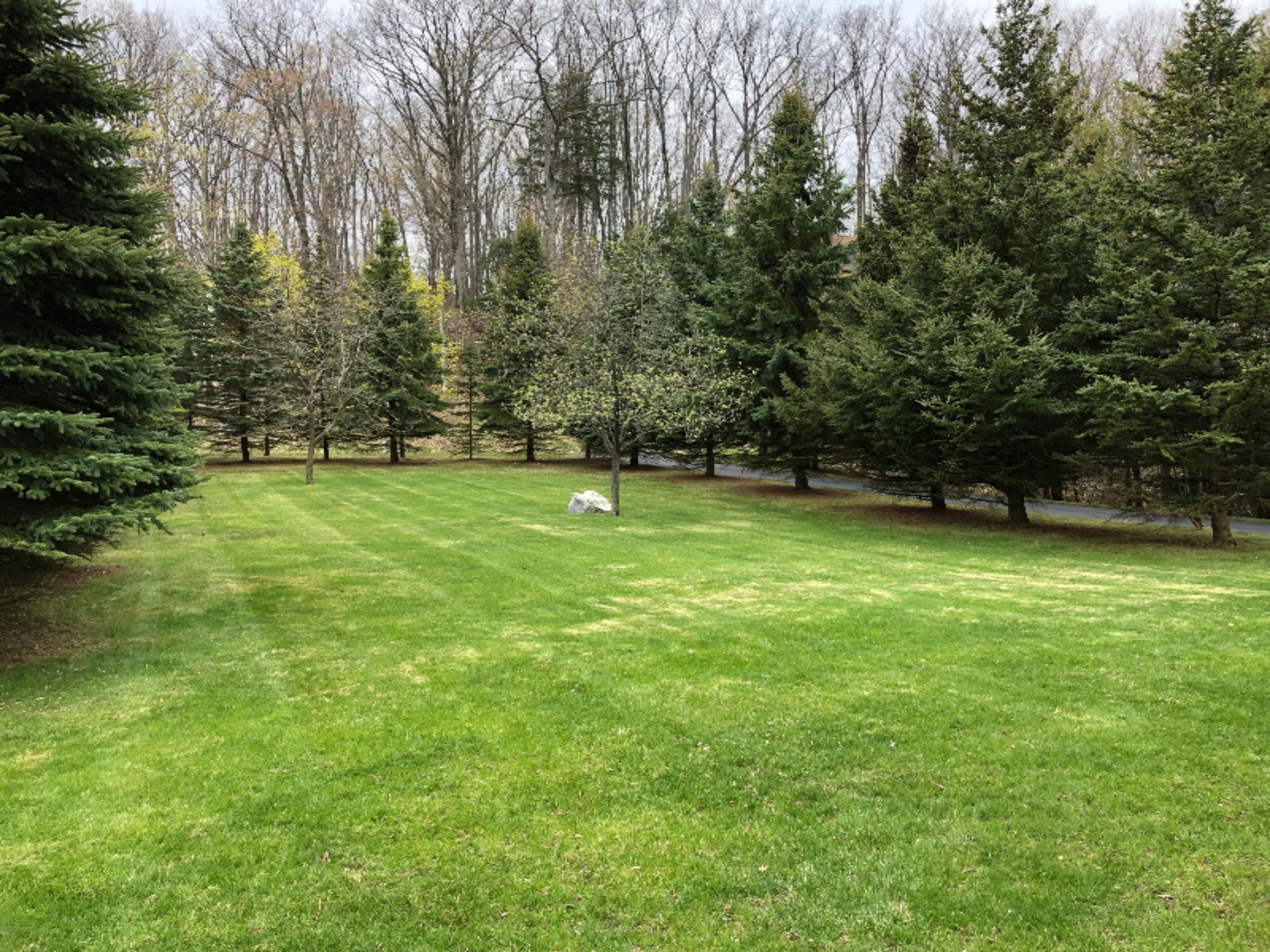 2536 Crescent Beach Road Manistee, MI 49660 - Photo 49 of 55 Extra Bonus Yard on the Road Side