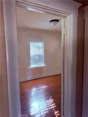 a view of a garden with plants and trees