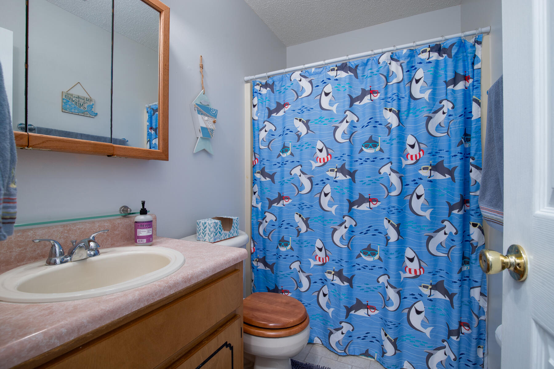 2826 Penney Lane Crestview, FL 32539 - Photo 16 of 22 a bathroom with a sink and a toilet