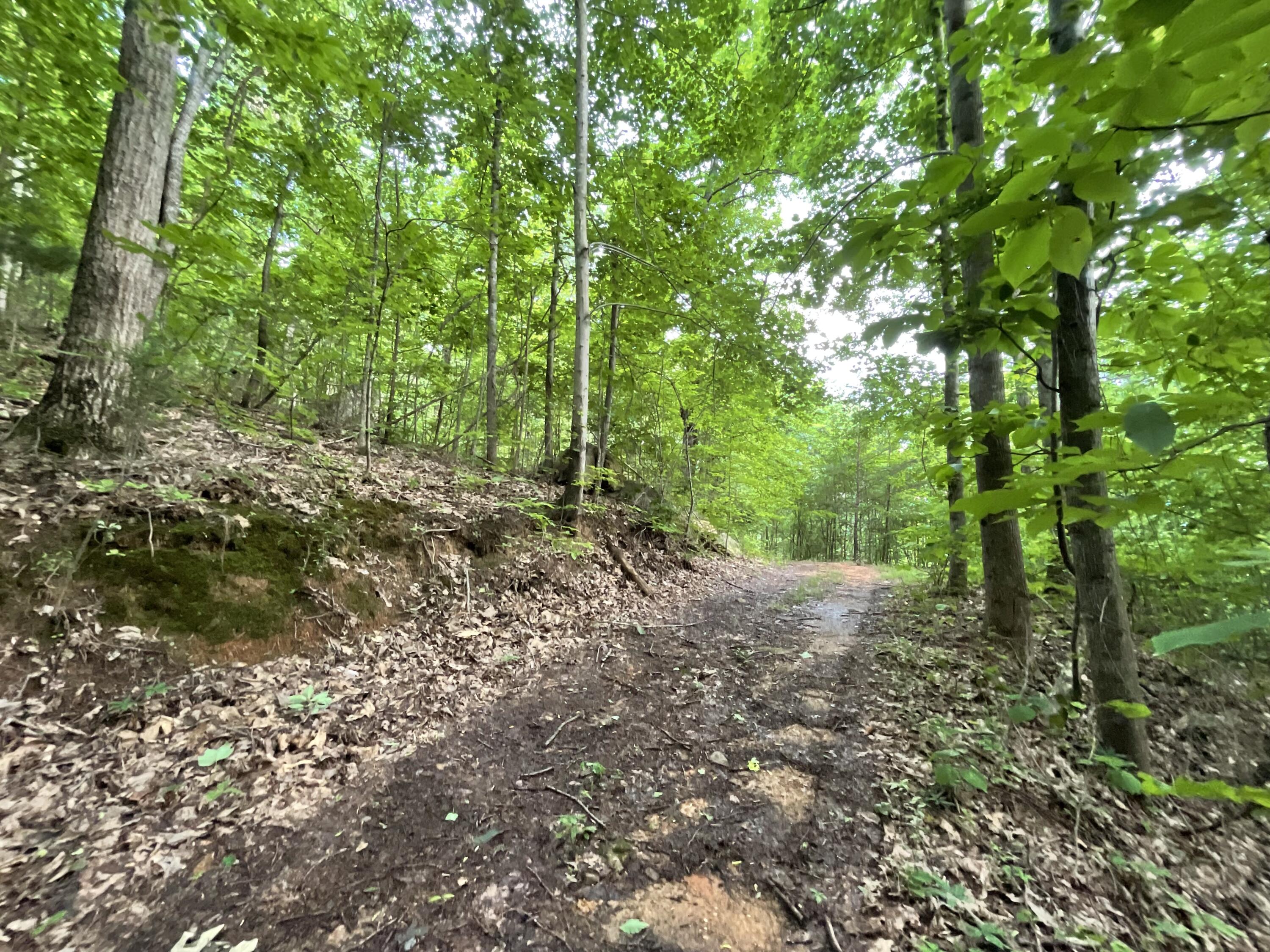 690 Ditch Gap Road Whitwell, TN 37397 - Photo 84 of 93 IMG_0251