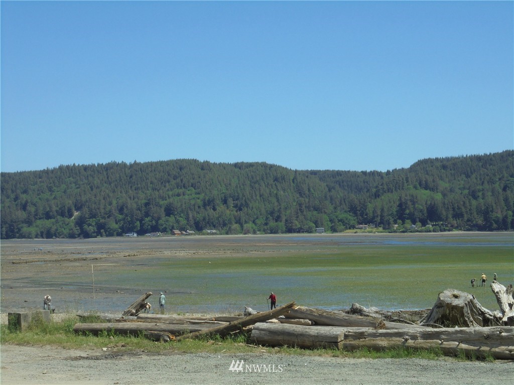 1234 Linger Longer Road Quilcene, WA 98376 - Photo 21 of 25 Gallery Image 21