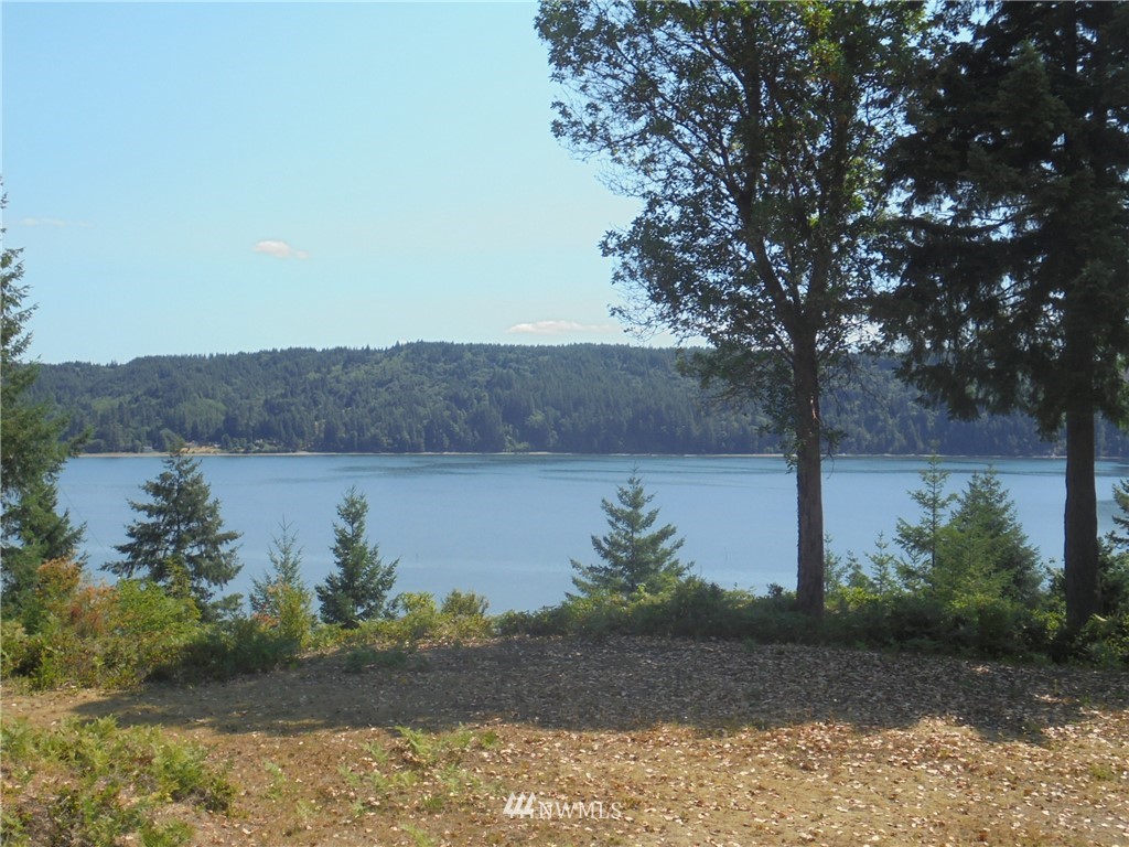 1234 Linger Longer Road Quilcene, WA 98376 - Photo 24 of 25 Gallery Image 24
