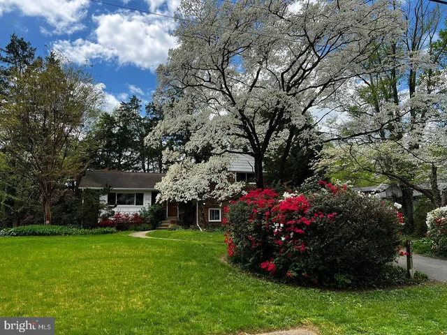 a view of a house with a big yard and large trees