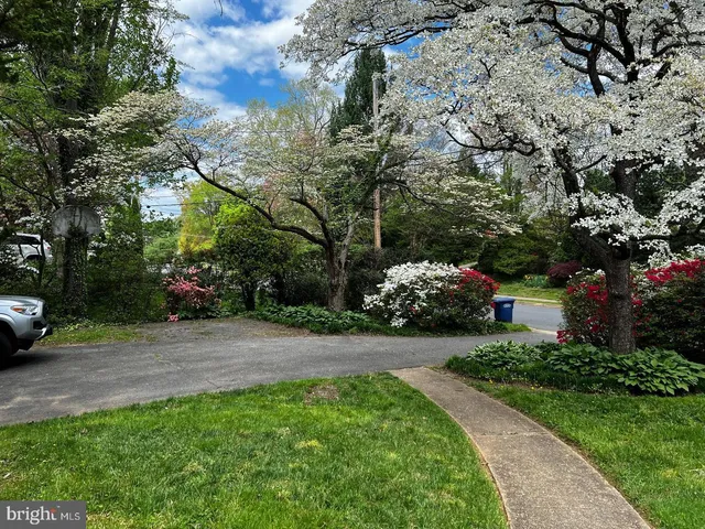a view of a street with some trees