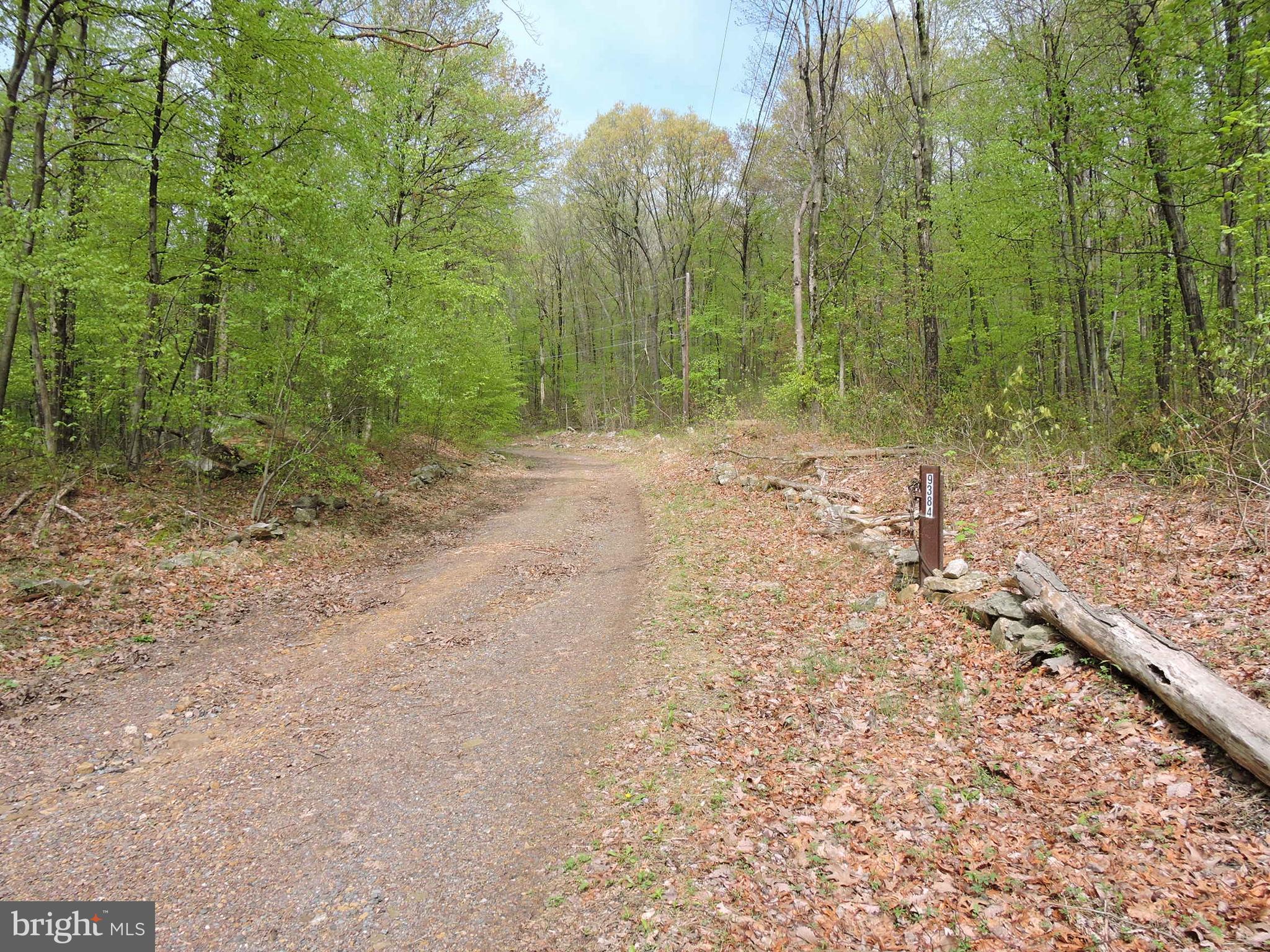 9374 Furnace Road, Unit SINGLE Germansville, PA 18053 - Photo 12 of 14 Gallery Image 12