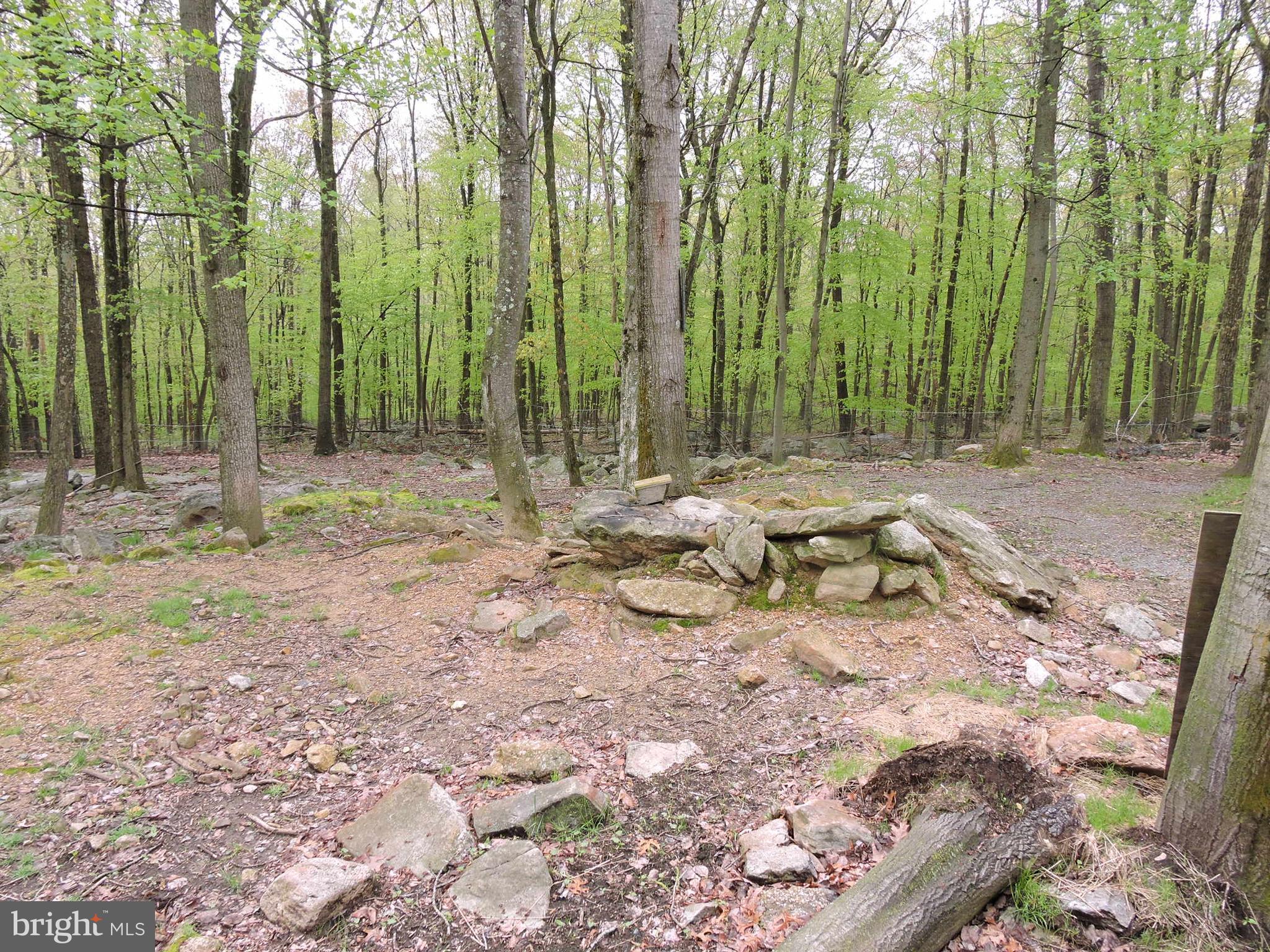 9374 Furnace Road, Unit SINGLE Germansville, PA 18053 - Photo 13 of 14 Gallery Image 13