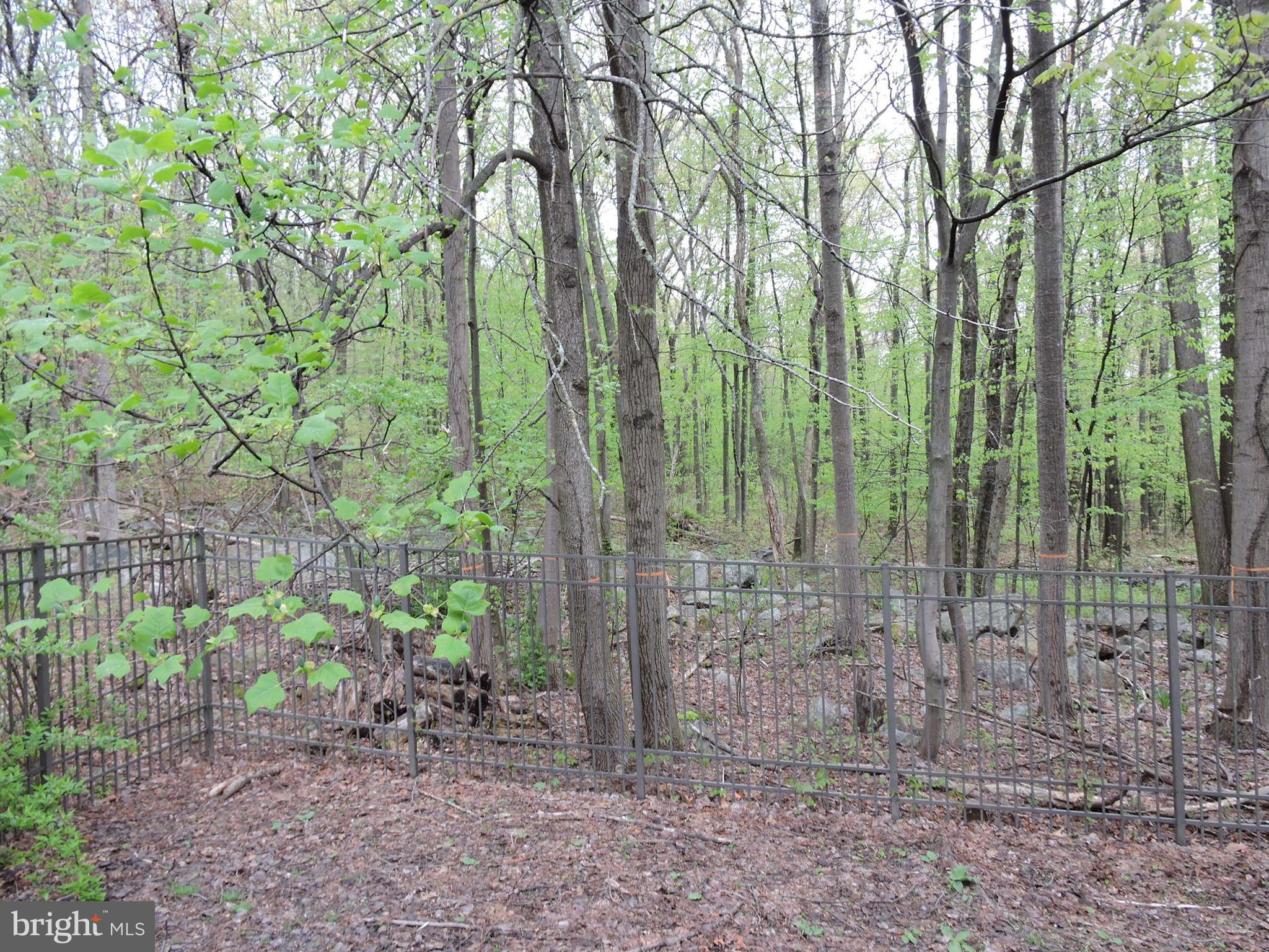 9374 Furnace Road, Unit SINGLE Germansville, PA 18053 - Photo 10 of 14 Gallery Image 10