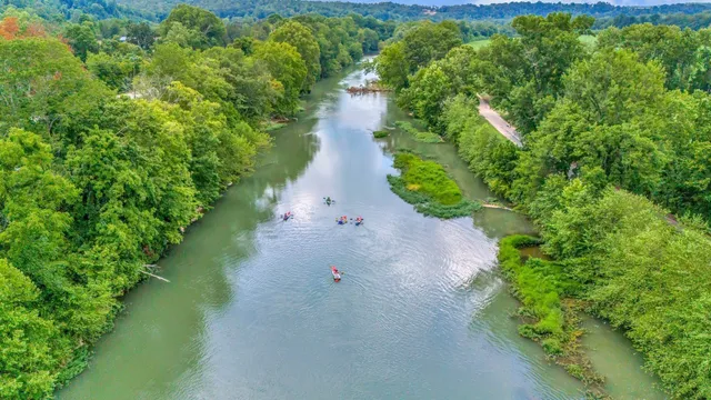 a view of a pathway both side of yard