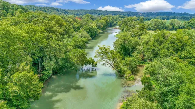 a view of a lake in a forest