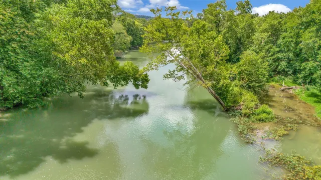 a view of a garden with a building in the background