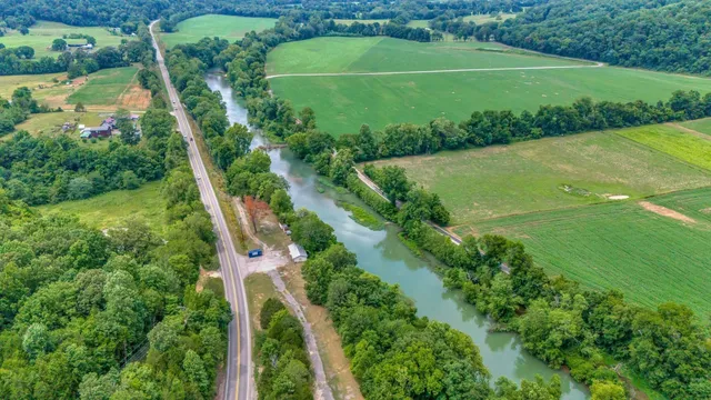 a view of a green yard with large trees