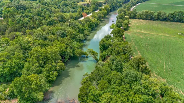 a view of yard with green space