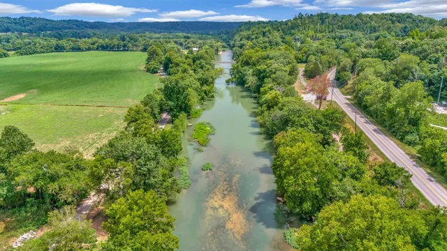 a view of a yard with a large trees