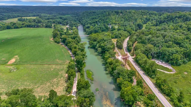 a view of a forest with a yard
