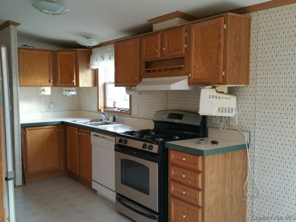 103 West State Modesto, IL 62667 - Photo 4 of 26
