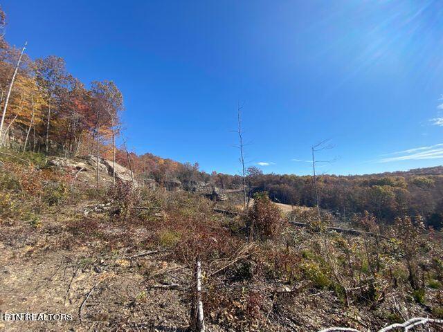 0 Big Ridge Road Oneida, TN 37841 - Photo 2 of 6 20211227212851532108000000-o