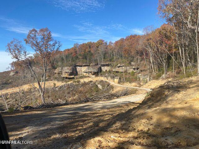 0 Big Ridge Road Oneida, TN 37841 - Photo 5 of 6 20211227212911588271000000-o
