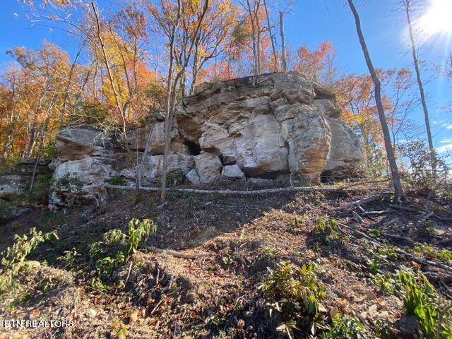 0 Big Ridge Road Oneida, TN 37841 - Photo 6 of 6 20211227213129580032000000-o