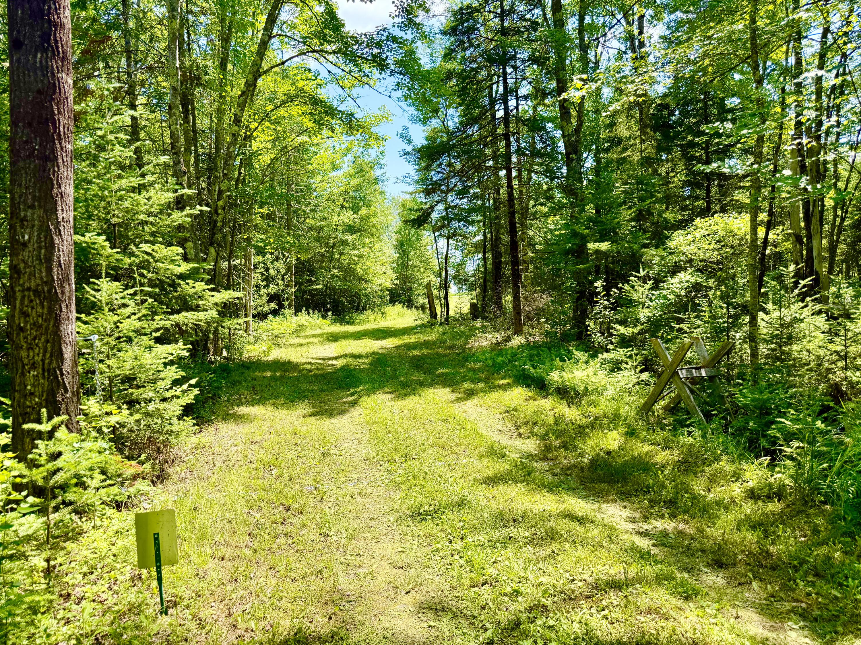 1053 Hudson Hill Road Hudson, ME 04449 - Photo 10 of 61 Nature Lovers Delight