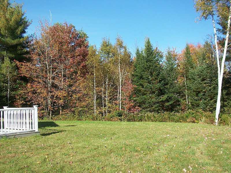 50 Bryant Road Wilton, ME 04294 - Photo 16 of 16 Yard/Garden. View to the East