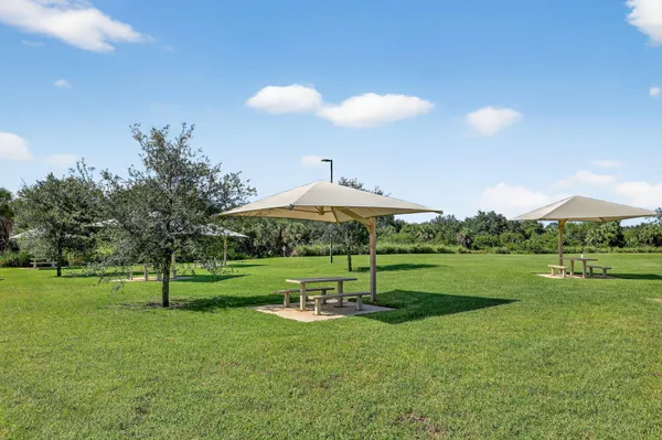 a view of a park with large trees