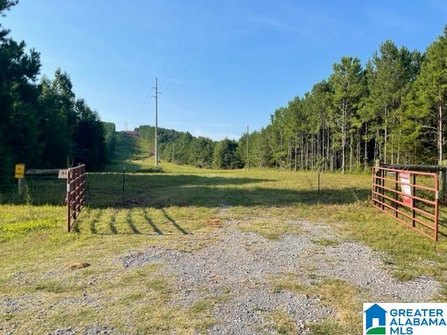 830 Whitson Road Munford, AL 36268 - Photo 1 of 3