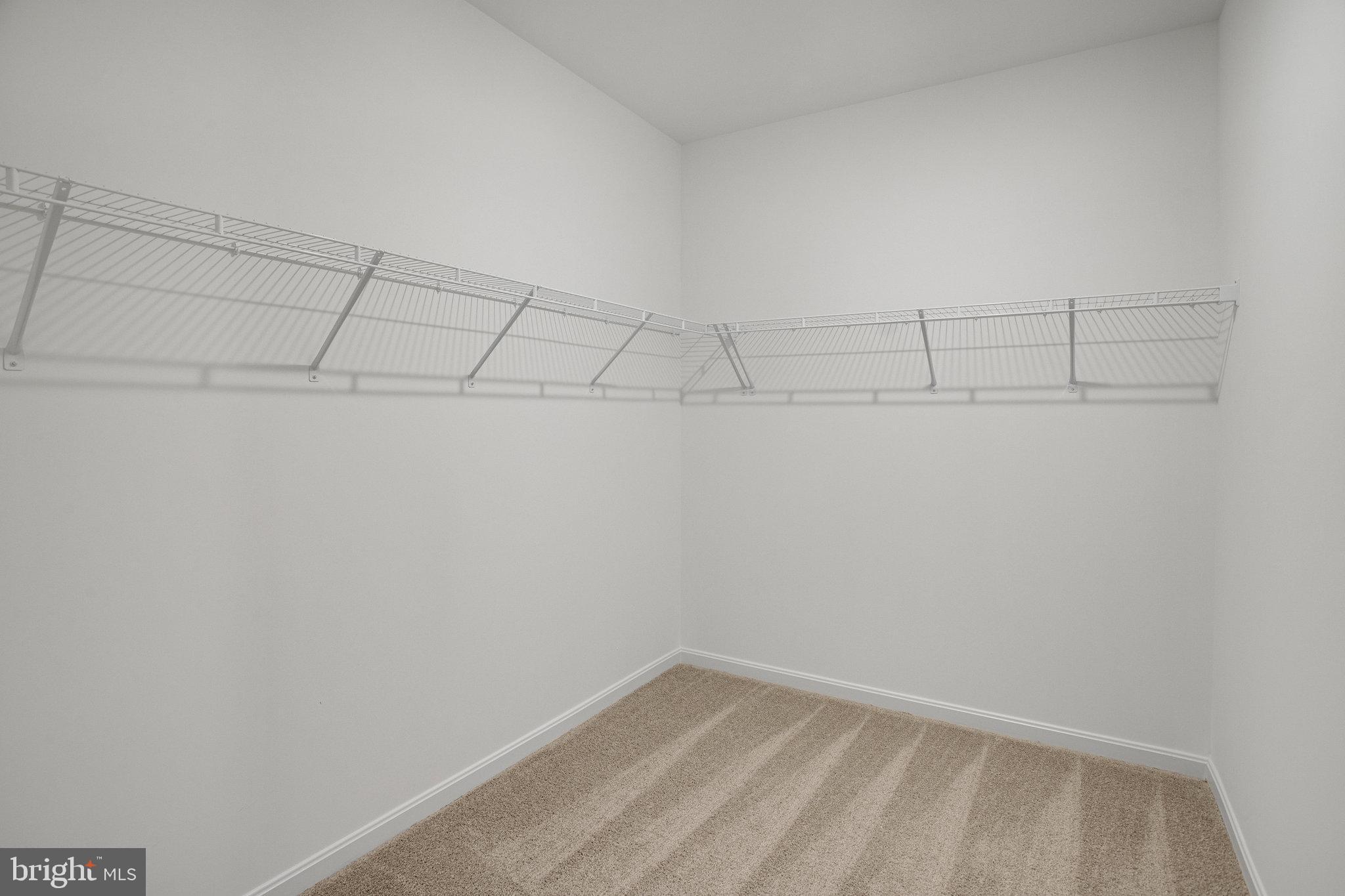 2005 Divot Drive Culpeper, VA 22701 - Photo 42 of 46 a view of a room with racks on the wall